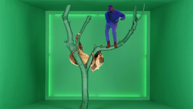 Drake